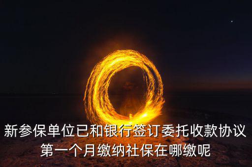 什么時候辦理授權劃繳協議，如何取得委托銀行劃轉地方稅費授權書協議書去銀行還是去地稅