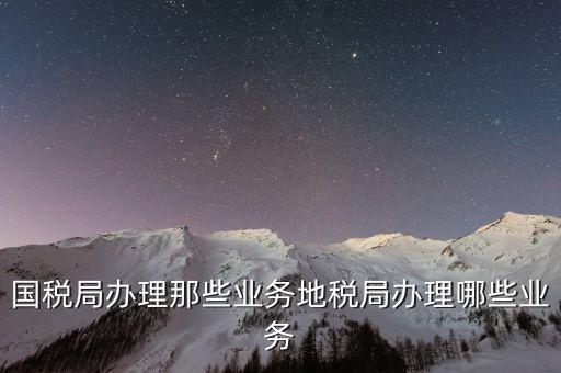 國稅局辦理那些業務地稅局辦理哪些業務
