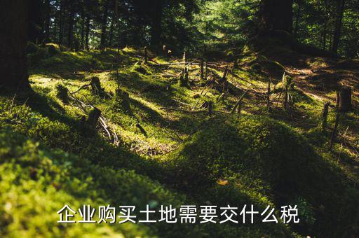企業購買土地需要交什么稅