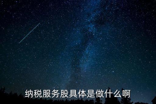 納稅服務(wù)股是什么意思，納稅服務(wù)股具體是做什么啊