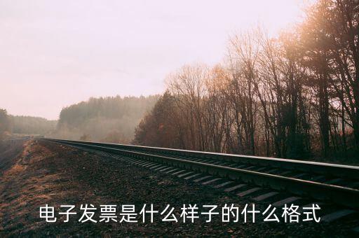 電子發票是什么樣子的什么格式