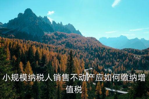 小規模納稅人銷售不動產應如何繳納增值稅