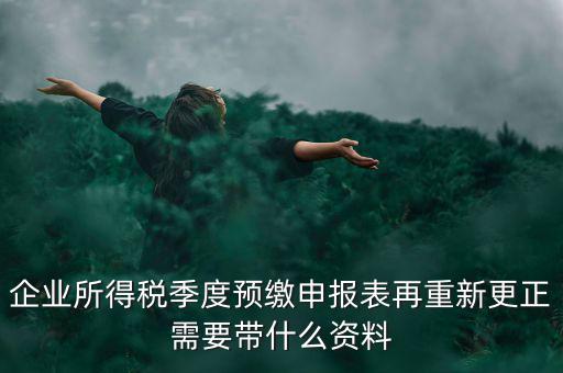 企業所得稅季度預繳申報表再重新更正需要帶什么資料