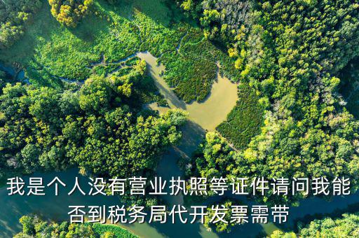 稅務局代發票要帶什么，小規模納稅人到稅務局代開專用發票需要帶什么東西