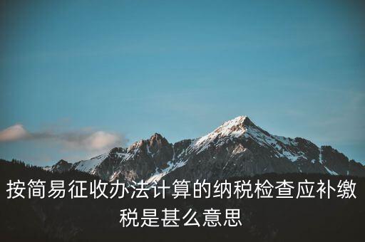 簡易征收什么意思，按簡易征收辦法計算的納稅檢查應補繳稅是甚么意思