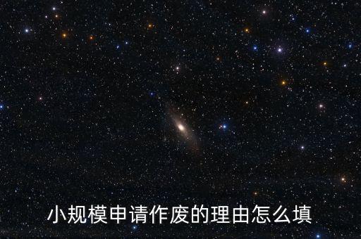 小規模申請作廢的理由怎么填