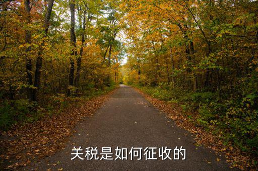依據什么征收關稅，關稅是如何征收的