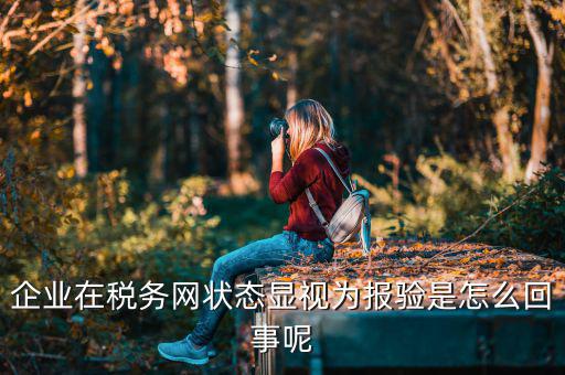 企業在稅務網狀態顯視為報驗是怎么回事呢