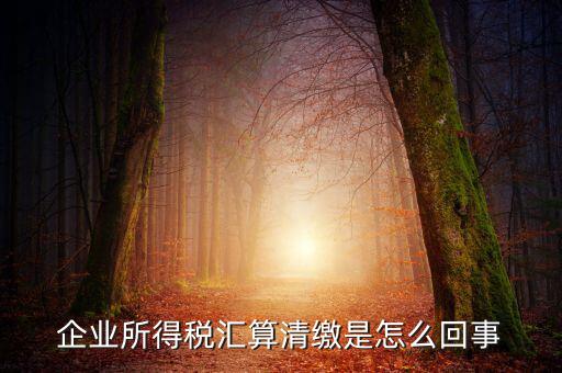 企業所得稅匯算清繳是怎么回事