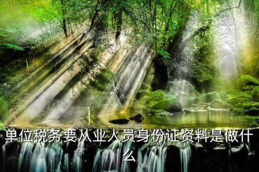 單位稅務要從業人員身份證資料是做什么