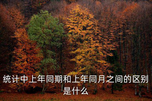 統計中上年同期和上年同月之間的區別是什么