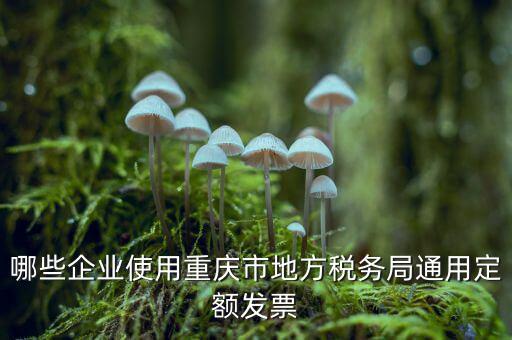 定額發票什么行業，哪些企業能買手撕定額發票小規模生產企業已經開了普通發票能買