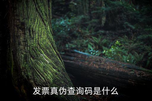 網絡發票查詢號是什么，發票真偽查詢碼是什么