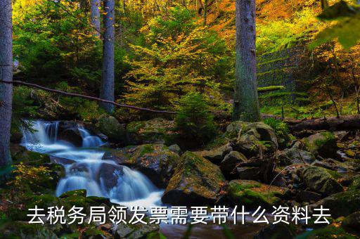 去稅務局領發票需要帶什么資料去