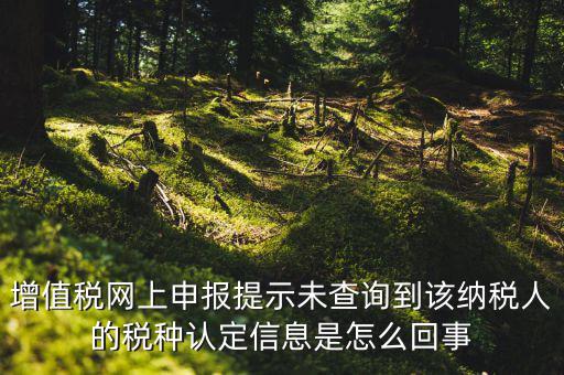 增值稅網上申報提示未查詢到該納稅人的稅種認定信息是怎么回事