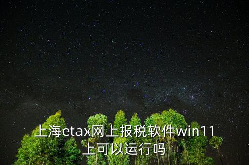 上海etax網上報稅軟件win11上可以運行嗎