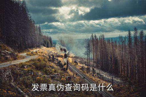 發票真偽查詢碼是什么