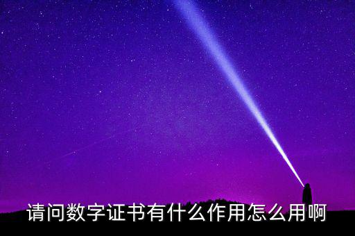 請問數字證書有什么作用怎么用啊