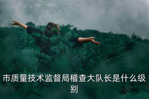 市質量技術監督局稽查大隊長是什么級別