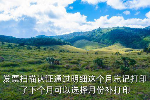發票掃描認證通過明細這個月忘記打印了下個月可以選擇月份補打印