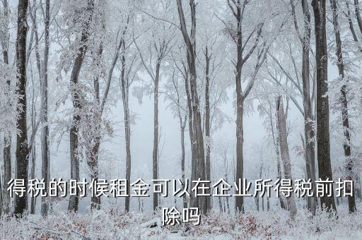 得稅的時候租金可以在企業所得稅前扣除嗎