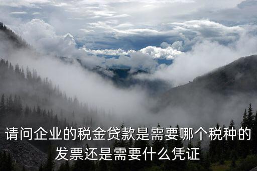請問企業的稅金貸款是需要哪個稅種的發票還是需要什么憑證