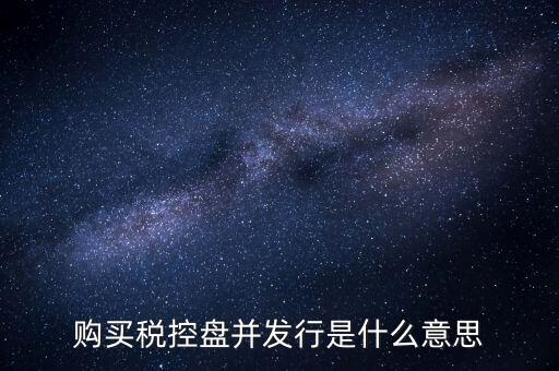 購買稅控盤并發行是什么意思