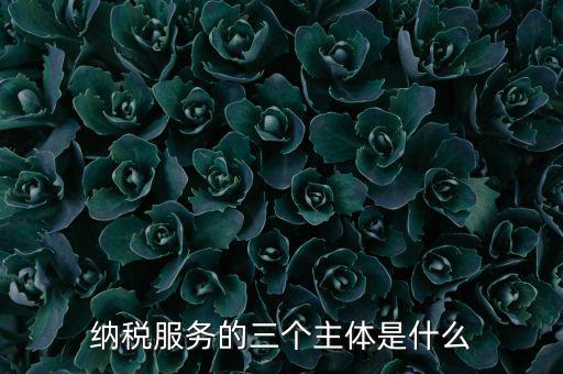 納稅服務(wù) 是什么，納稅服務(wù)的三個(gè)主體是什么