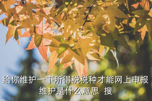 給你維護一下所得稅稅種才能網上申報維護是什么意思  搜