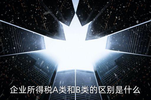 環境保護稅a類和b類什么區別，企業所得稅a類表和b類有什么區別