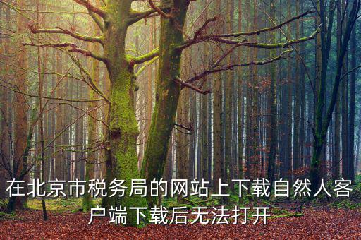 在北京市稅務局的網站上下載自然人客戶端下載后無法打開