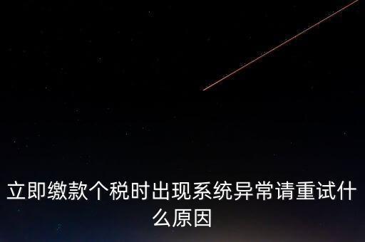 立即繳款個稅時出現系統異常請重試什么原因