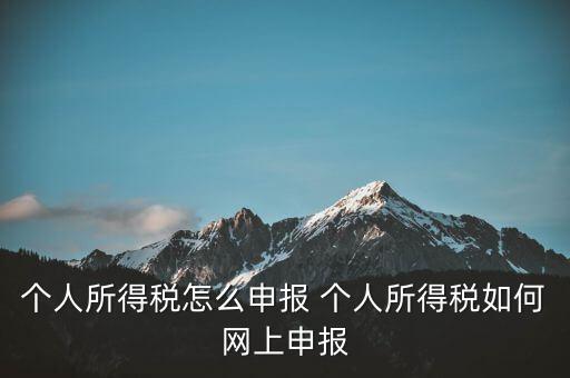 個人所得稅怎么申報 個人所得稅如何網上申報