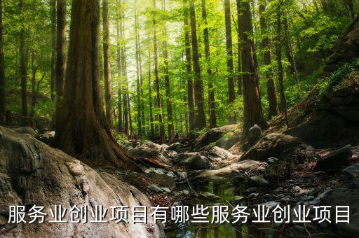 服務業有什么進項，服務業營改增哪些可以抵扣