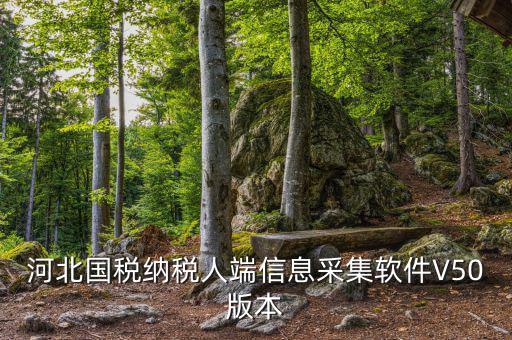 河北省網上報稅用什么軟件，河北國稅納稅人端信息采集軟件V50版本