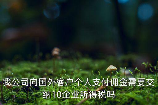 我公司向國外客戶個人支付傭金需要交納10企業所得稅嗎