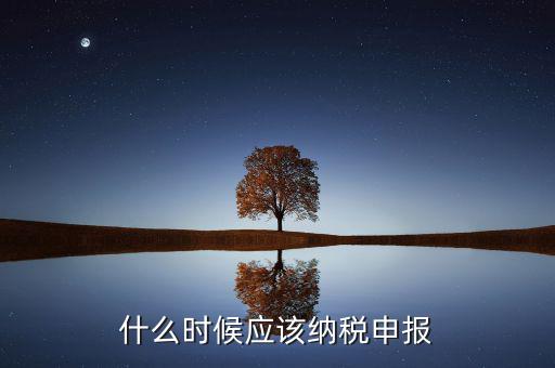 消費(fèi)稅什么時候申報，什么時候應(yīng)該納稅申報