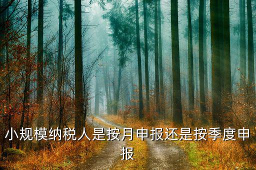 小規(guī)模納稅人按季申報是指什么，增值稅小規(guī)模納稅人按季申報怎么填