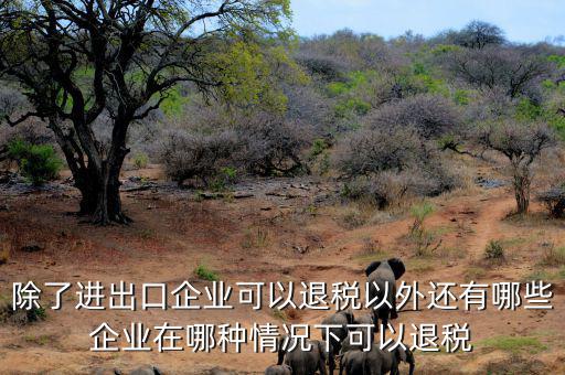 中國什么公司可以退稅，除了進出口企業可以退稅以外還有哪些企業在哪種情況下可以退稅