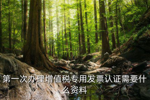 第一次辦理增值稅專用發票認證需要什么資料
