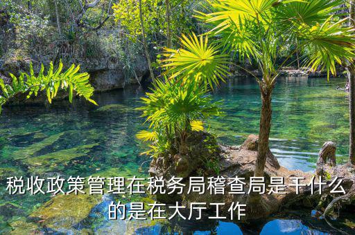 稅收政策管理在稅務局稽查局是干什么的是在大廳工作
