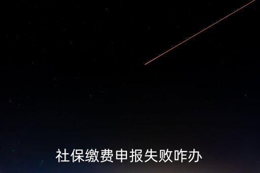 社保費申報為什么進不去，社保繳費申報失敗咋辦