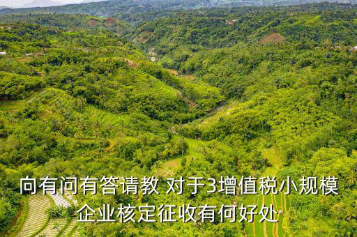 向有問有答請(qǐng)教 對(duì)于3增值稅小規(guī)模企業(yè)核定征收有何好處