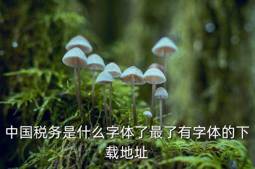 中國稅務是什么字體，中國稅務是什么字體了最了有字體的下載地址