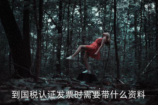 到國稅認證發票時需要帶什么資料
