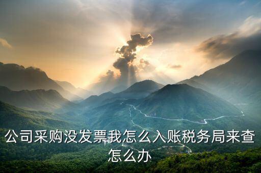 公司采購沒發票我怎么入賬稅務局來查怎么辦