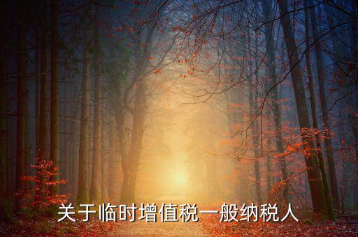 關于臨時增值稅一般納稅人