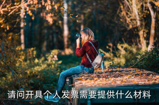 個人發(fā)票需要什么資料，個人購物開增值稅普通發(fā)票需要什么資料