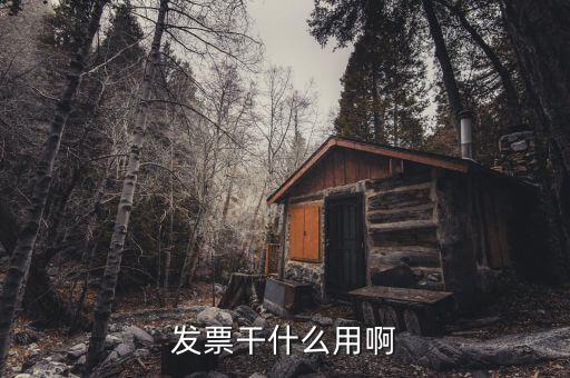 發票干什么用啊