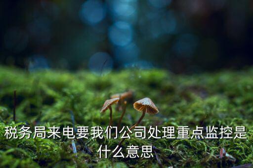 稅務局來電要我們公司處理重點監控是什么意思